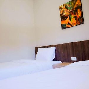 Double or Twin Room City View